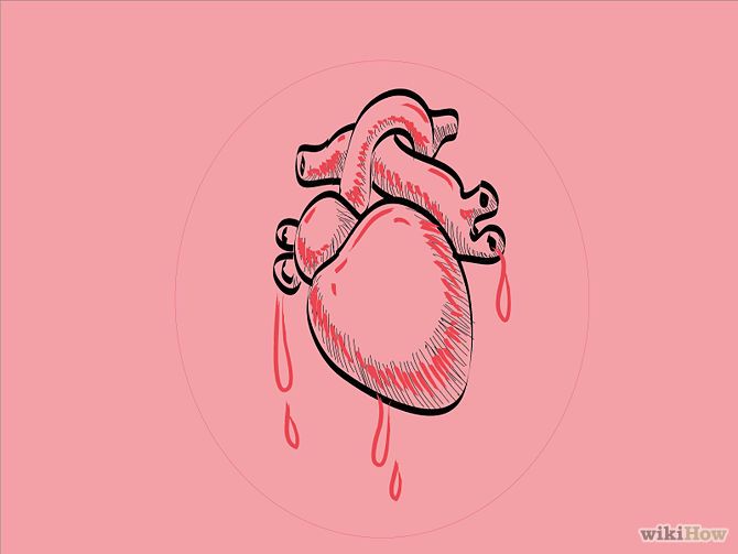 670x503 7 Best Human Heart Images On The Human Body, Drawings