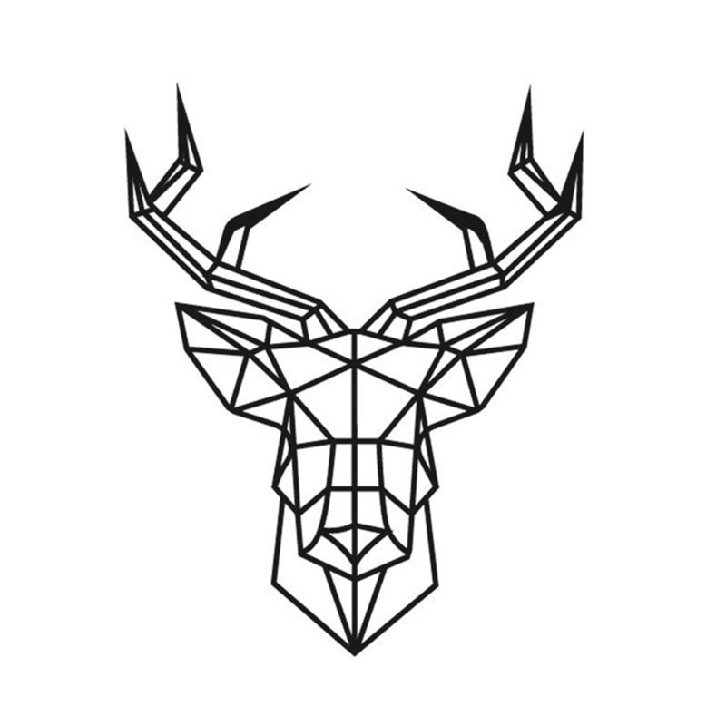 800x800 Photos Cool Deer Drawings,