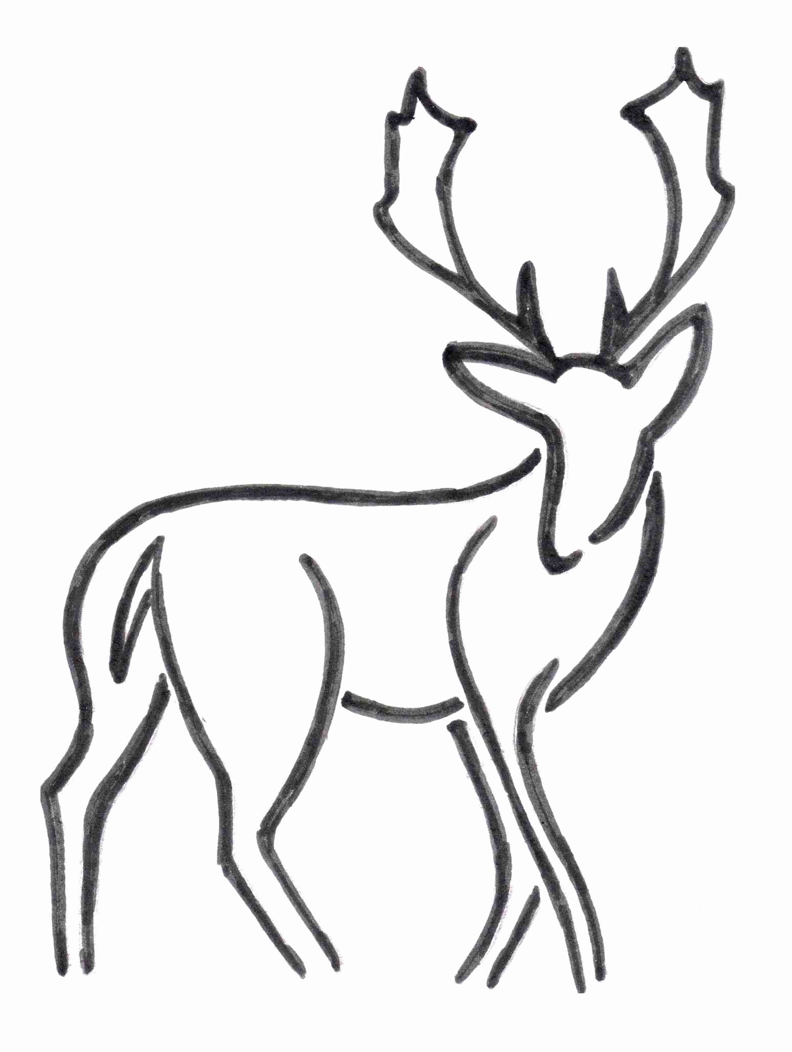 1548x2054 Reindeer Antler Template Unique Mule Deer Skull Drawing