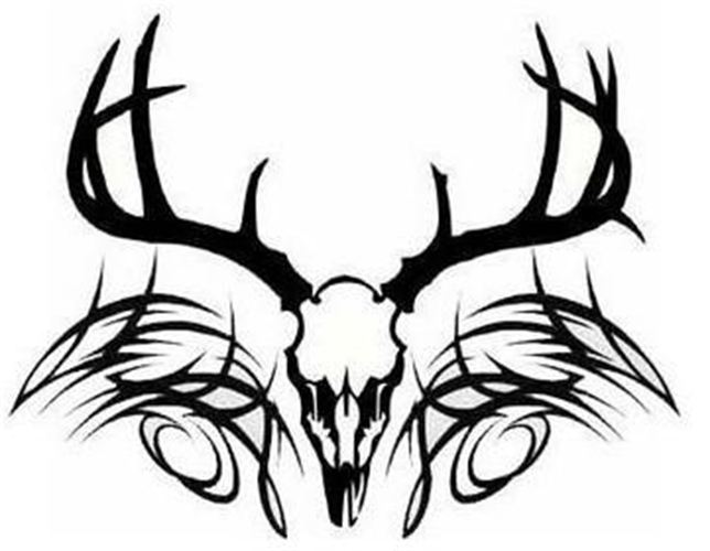 644x500 Ssckull Clipart Whitetail Deer