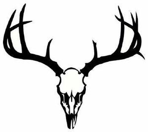 300x267 25 Best Dream Tattoos Images On Deer Skull Tattoos