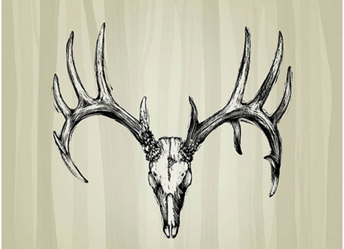 500x362 Best Deer Tattoo Designs