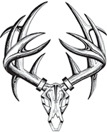 150x185 Deer Skull Drawing Clipart Panda