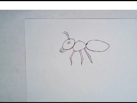 480x360 How To Draw An Ant (Simple, Easy Drawing)