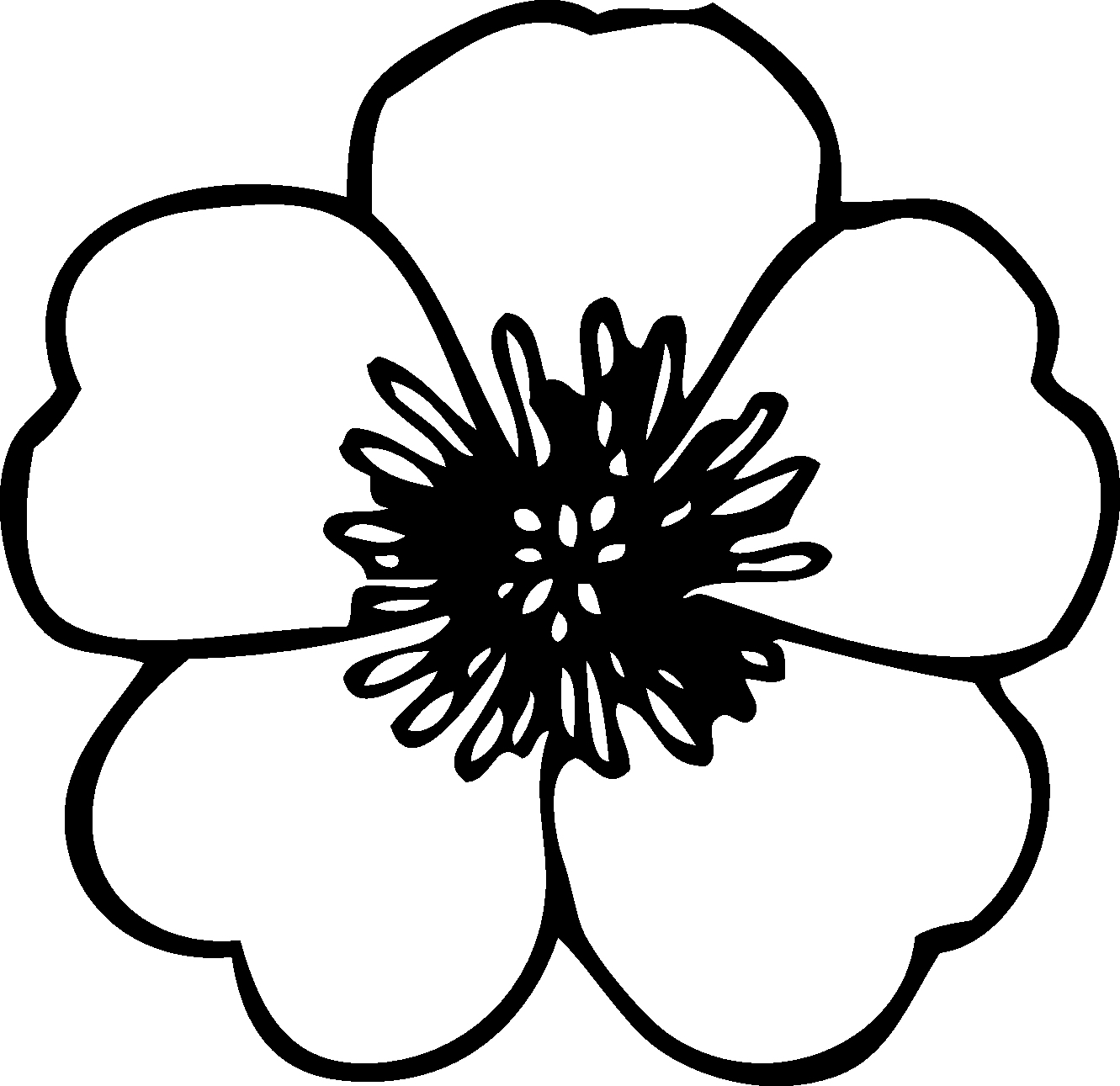 1331x1291 Simple Flower Drawings In Black And White Drawings Of 5 Flower