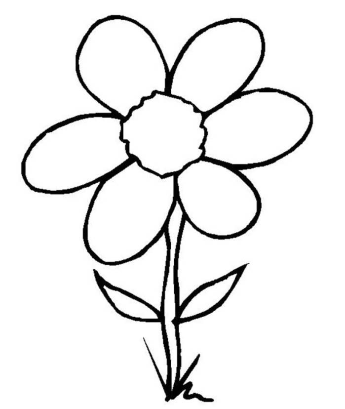 699x828 Simple Flowers Black And White Drawing