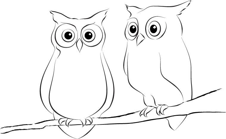 758x467 Simple Owl Drawing Pin Michelle On Painting Google