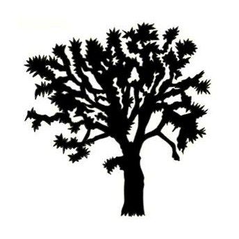 344x344 Joshua Tree Sketch Easy