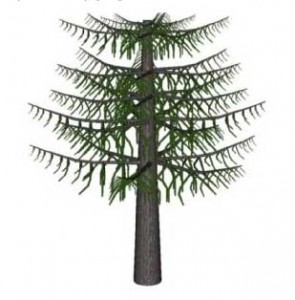 295x300 Sketchup Plants, Trees, And Shrubs Archive