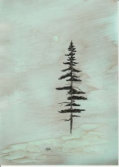 236x330 Redwood Trees Line Art