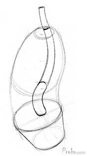 176x314 How To Draw The Spine Proko