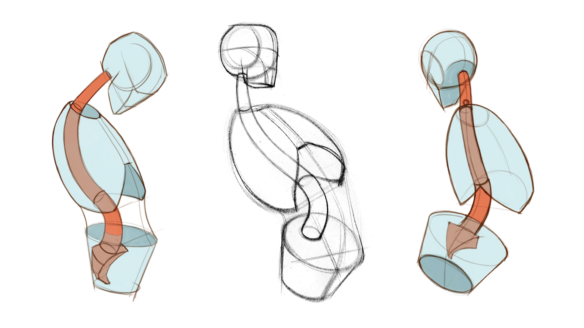 1920x1080 How To Draw The Spine Proko