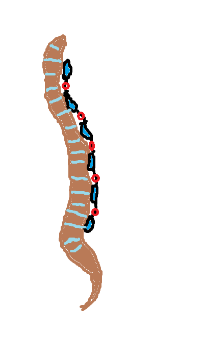 400x714 Spine Posture Reminder