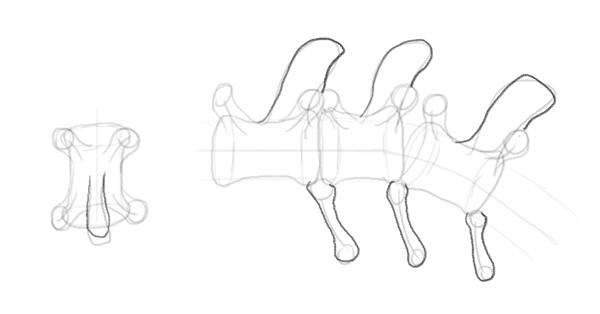 600x314 Create Zombie Dragon Concept Art Design And Sketch