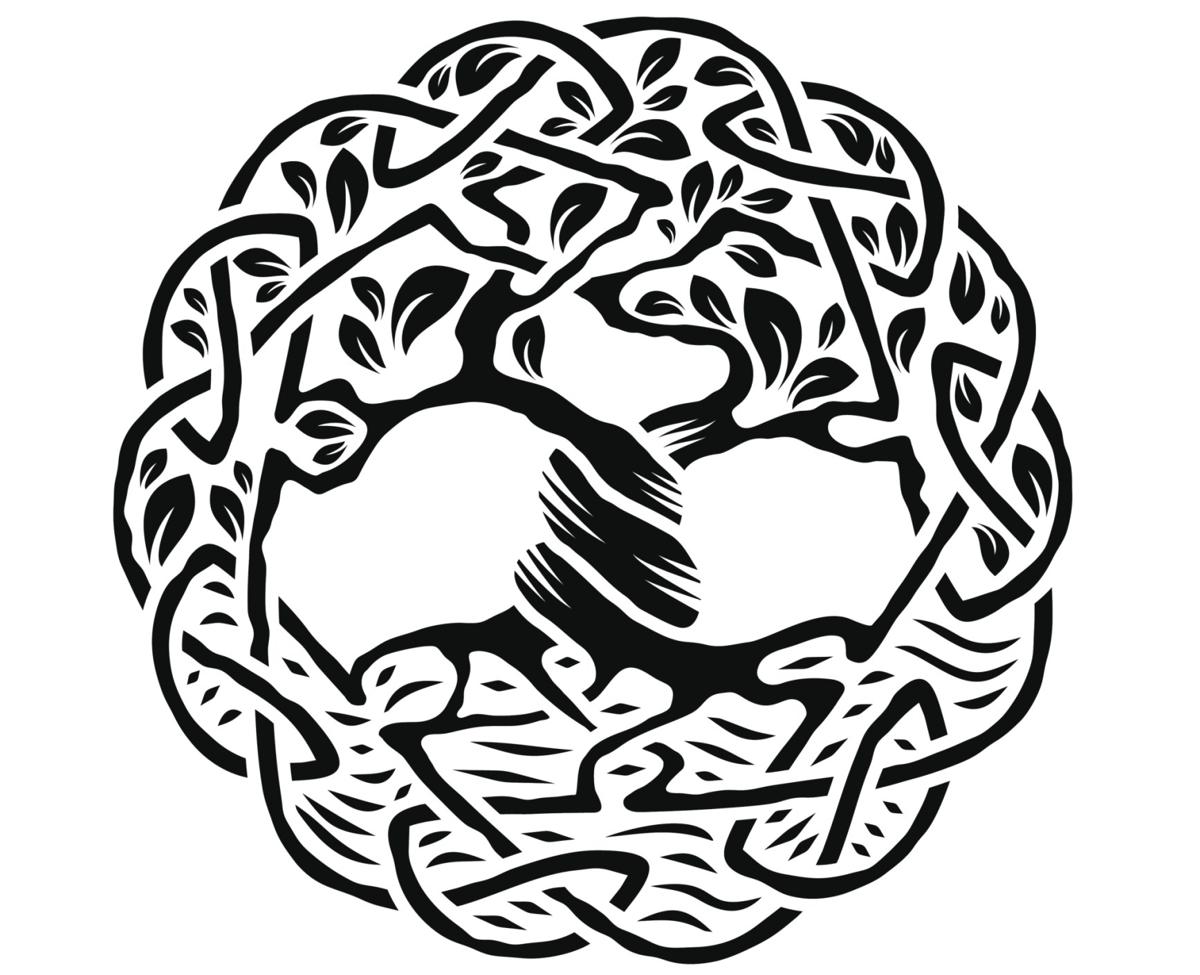 1200x975 A Lucid Explanation About The Meaning Of Tree Of Life