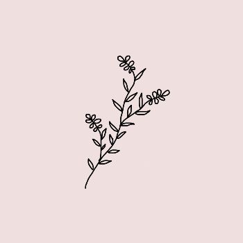 350x350 Collection Of Simple Flower Drawing Tumblr High Quality
