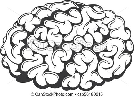 450x326 Vector Brain Drawing. Simple Hand Drawn Vector Human Brain