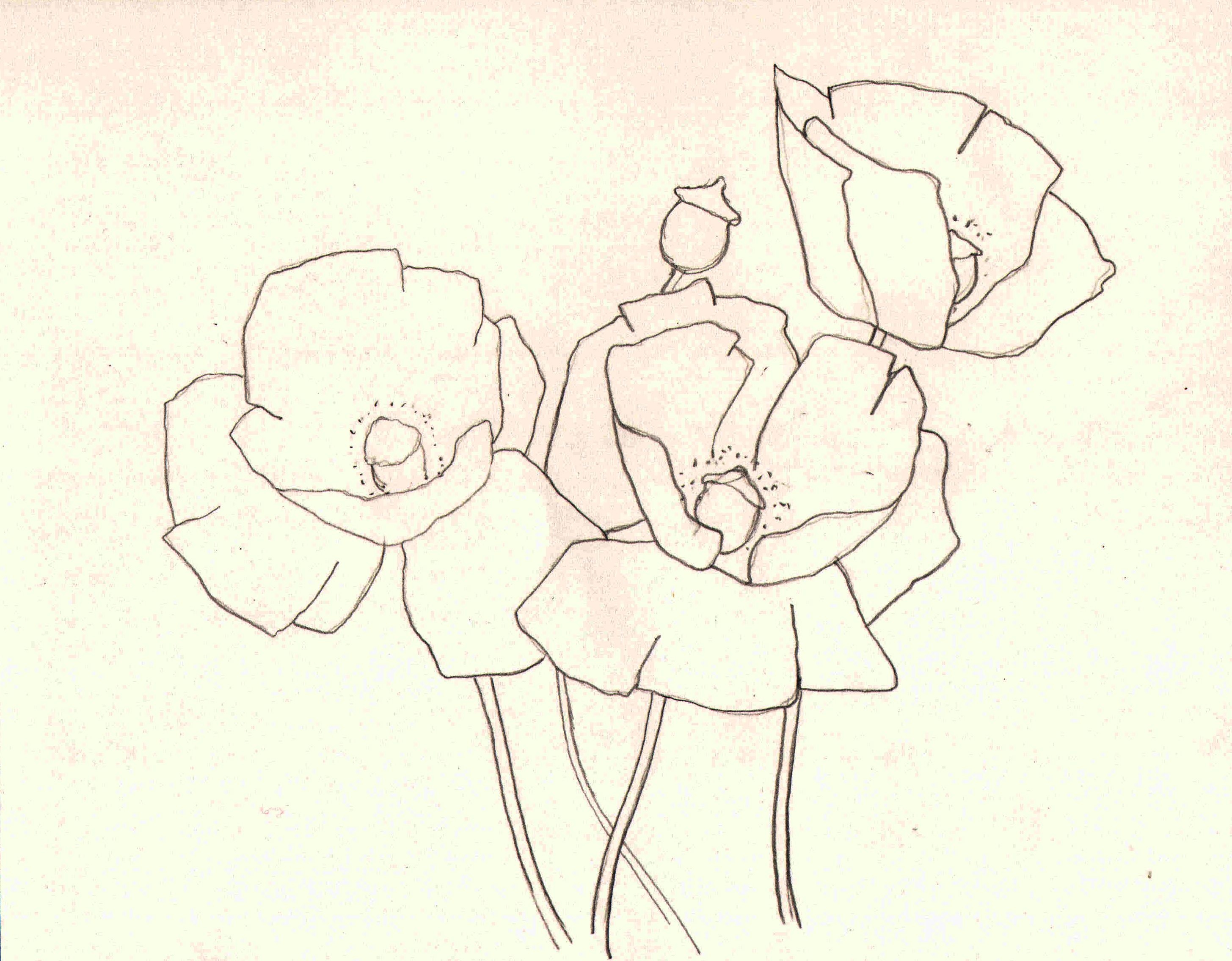 2911x2272 Simple Poppy Flower Drawing Watercolour Poppy Demo Poppies