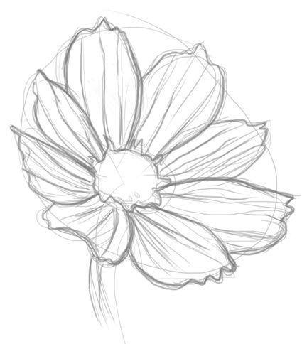425x484 31 Best Drawing Amp Painting Flowers How To Tutorials Images