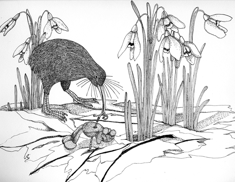 800x619 Pen And Ink Drawings