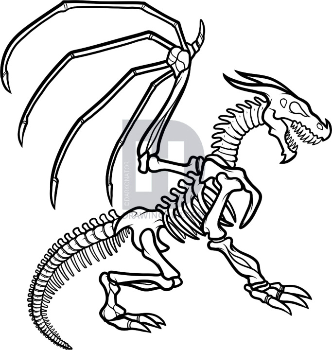 683x720 How To Draw A Dragon Skeleton, Dragon Skeleton, Step By Step