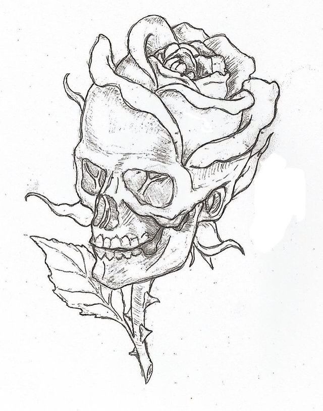 640x813 Drawings Drawing Ideas Skeleton Drawing Tumblr Best