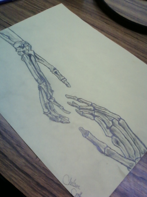 480x640 Skeleton Drawing By Okami Luver 101