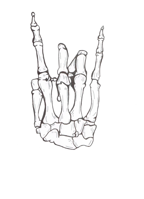 500x688 Free Tattoo Design Gallery Skeleton Hands Forever Tumblr