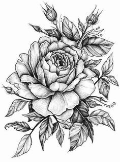 236x317 I F Download The App