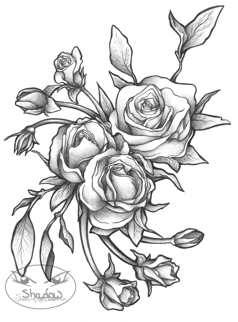 769x1039 Hoontoidly Roses Drawings Images