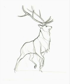 236x283 Vintage Deer Anatomy Print Skeleton Illustration Book Plate Color