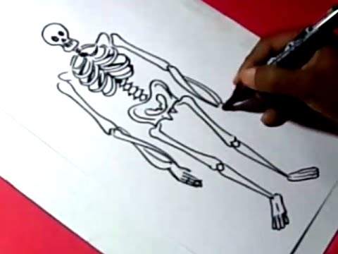 480x360 How To Draw Skeleton Drawing For Kids Step By Step