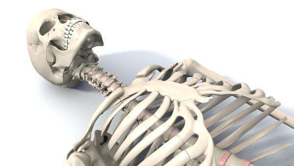 600x338 Skeleton Lying Down, Animation
