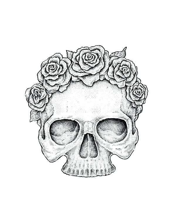 600x745 Skull And Rose Drawing Skull Floral Drawing