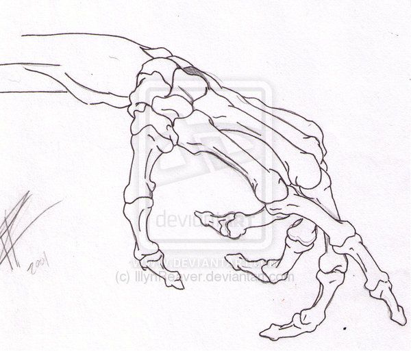 600x513 Free Skeleton Hand Art Clips Skeleton Hand By Illynreaver