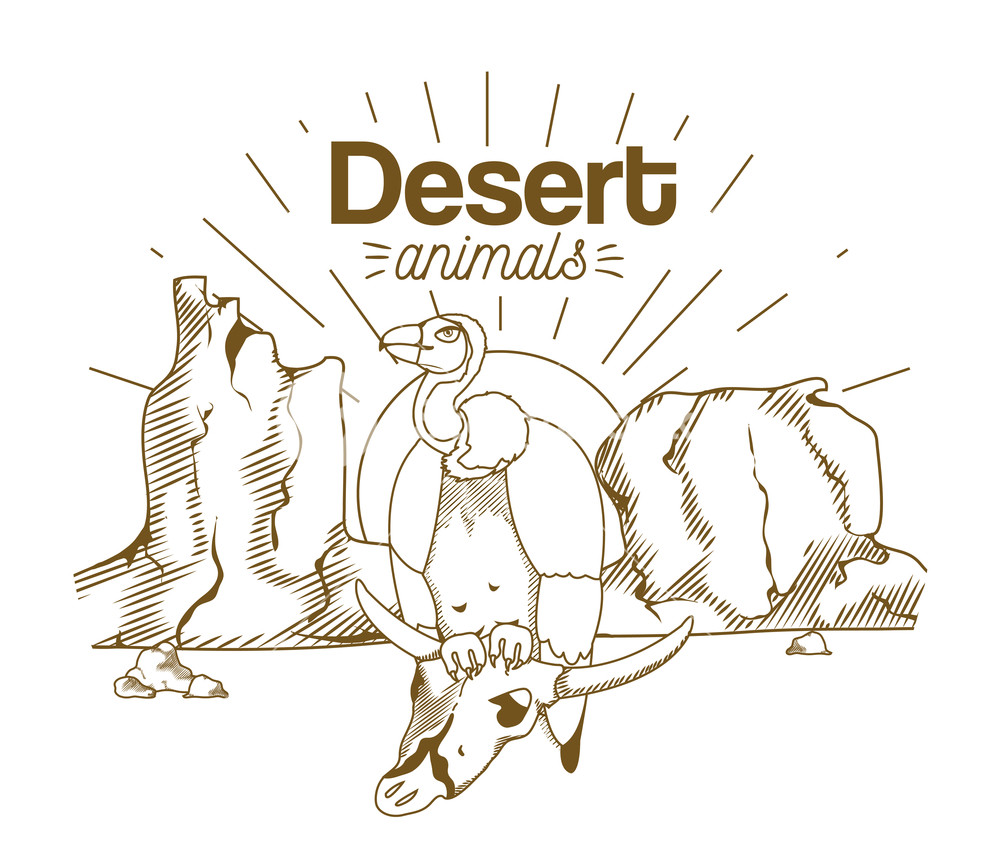 1000x849 Desert Vulture On Skull Hand Drawing Cartoon Vector Illustration