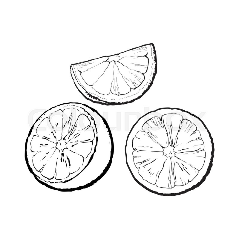 800x800 Set Realistic Colorful Hand Drawn Half, Slice And Segment