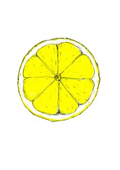 236x333 Lemon Slice Drawing Lemon Slice Clip Art Crafts