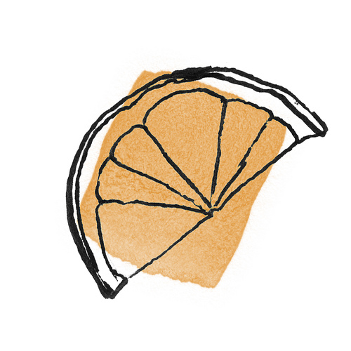 500x500 Orange Slice Illustration Drawing For My Capstone Project