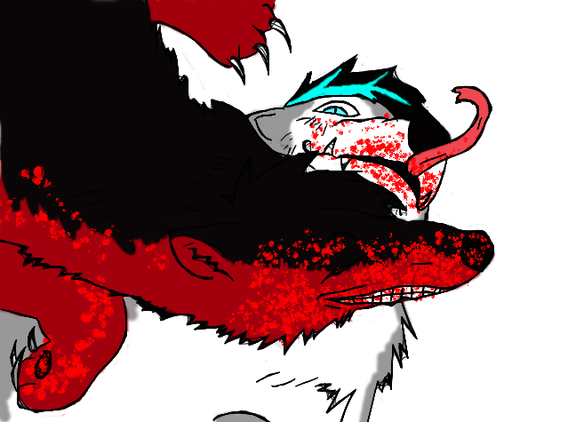 639x475 Snowball And Smile Dog By Megan567