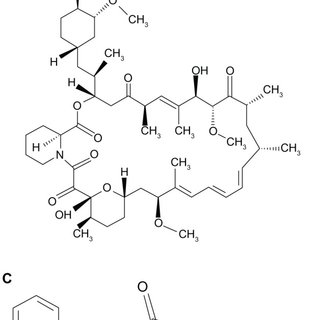 320x320 Smooth Muscle Cell Viability And Proliferation For L Aa, Sir, Pat