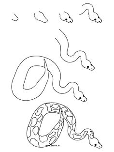 Snake Head Drawing Side View at GetDrawings | Free download