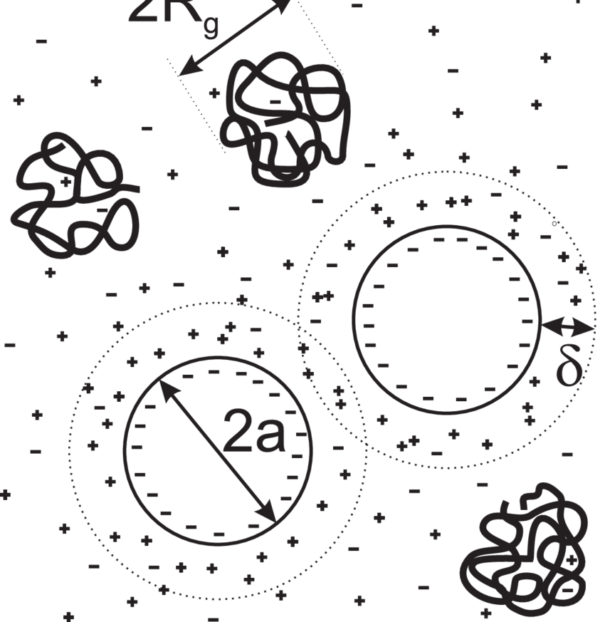 850x873 Schematic Drawing Of Two Negatively Charged Colloidal Particles