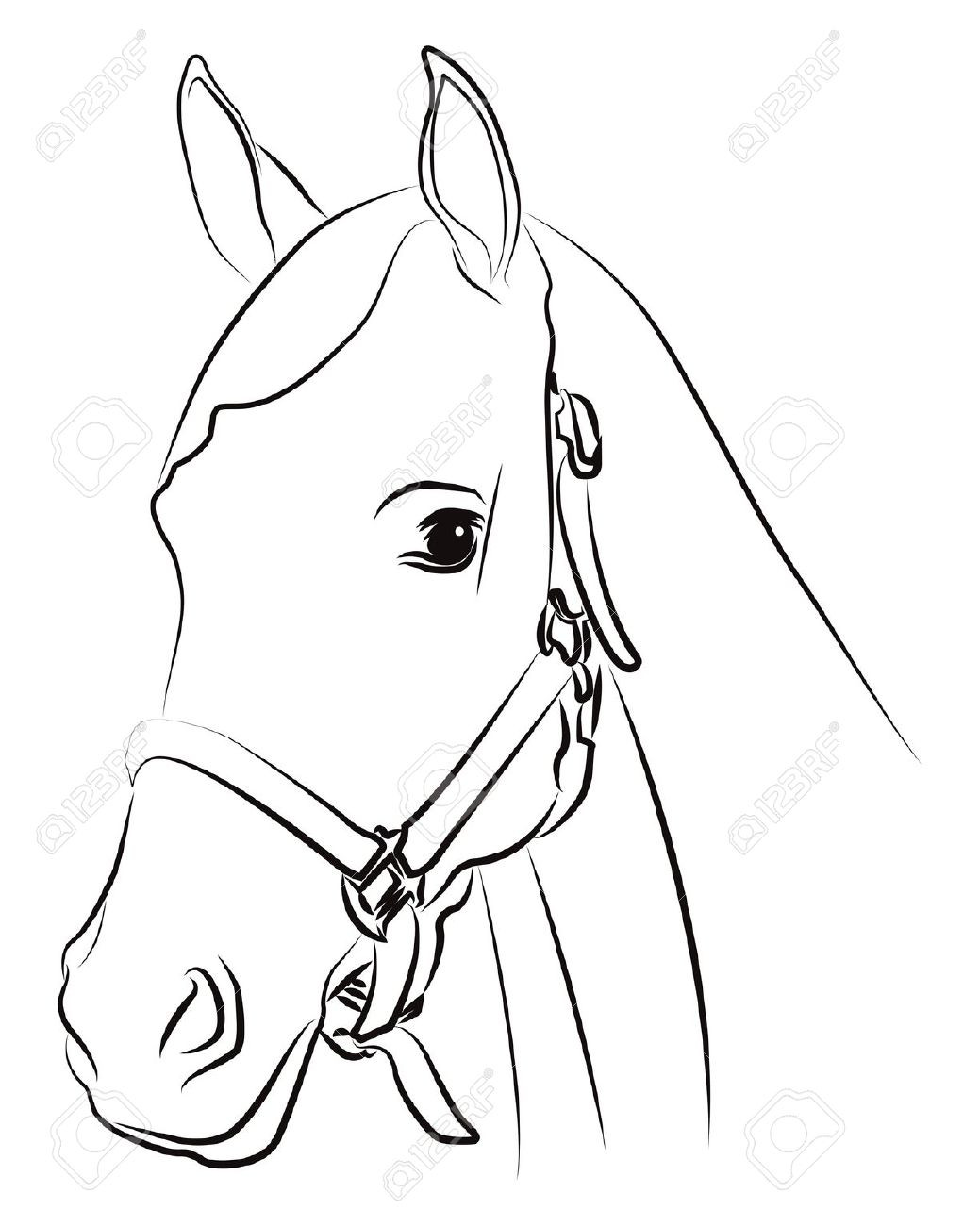 1039x1300 Simple Horse Head Drawing How To Draw A Face Step By Solution