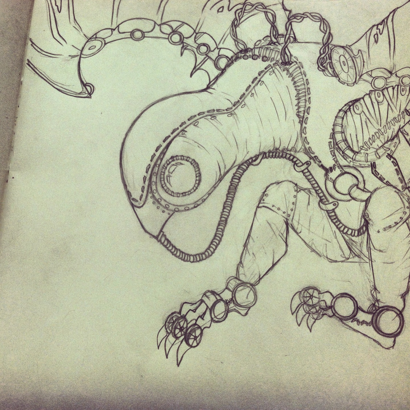 1440x1440 From Sketchbook To Blog Songbird Puget Sound Admission