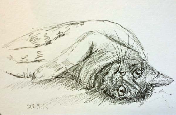 600x393 A Special Drawing