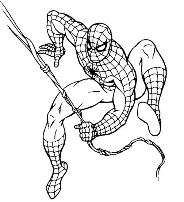 600x659 Spiderman In Action Coloring Page Spiderman In Action Coloring