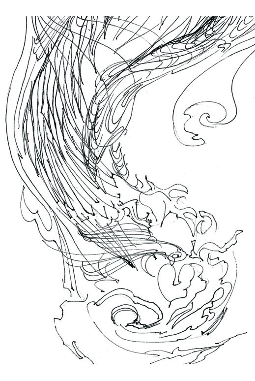 519x774 Bw Line Drawings