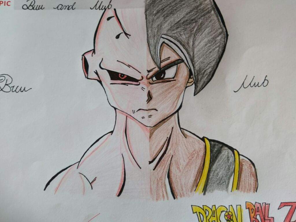 1024x768 Split Drawing Of Buu And Uub! Dragonballz Amino