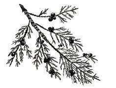 236x179 Kinfolk Magazine Vol. 6 Kinfolk, Kinfolk Magazine And Magazines